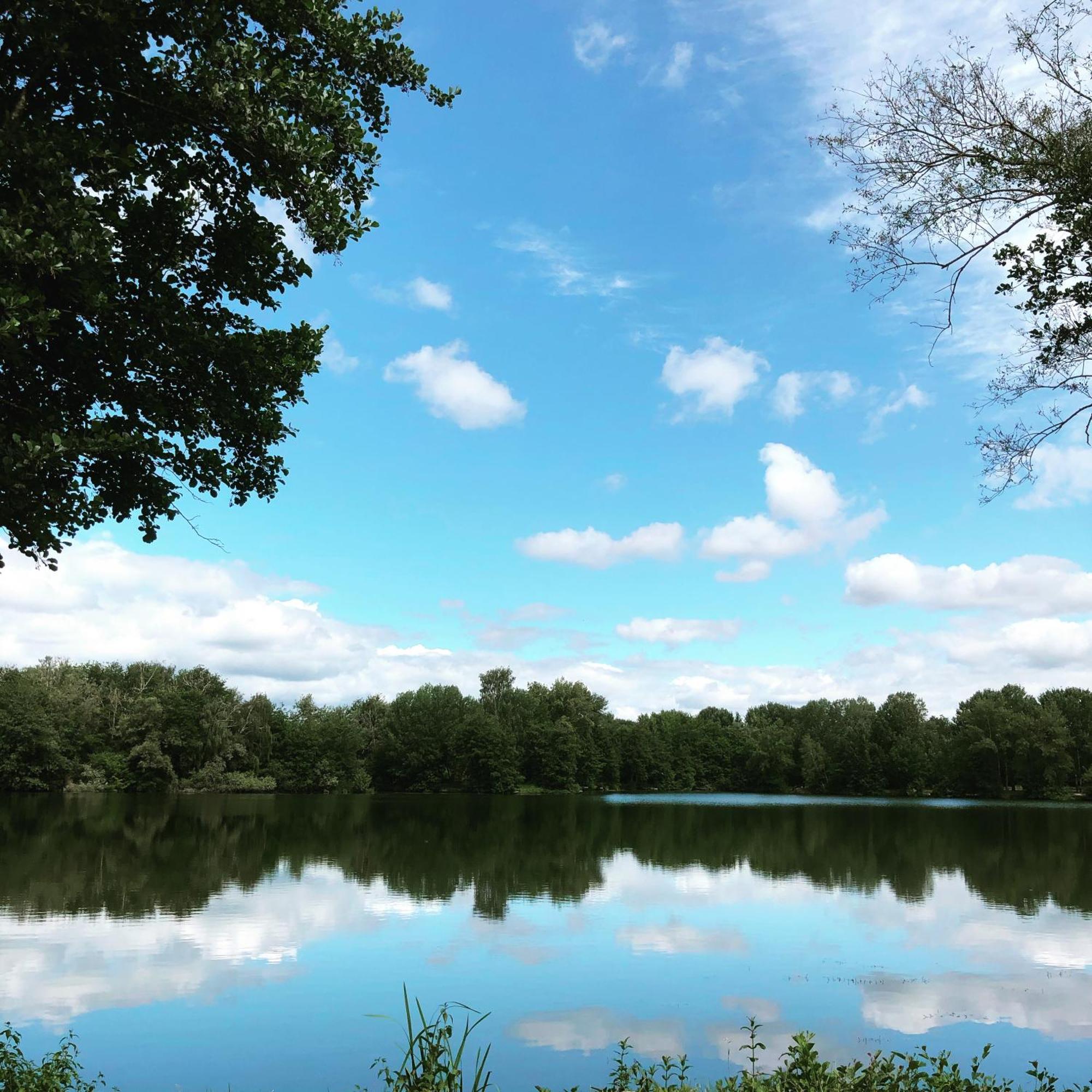 Gite De La Cote A Autreville Sur Moselle Kültér fotó