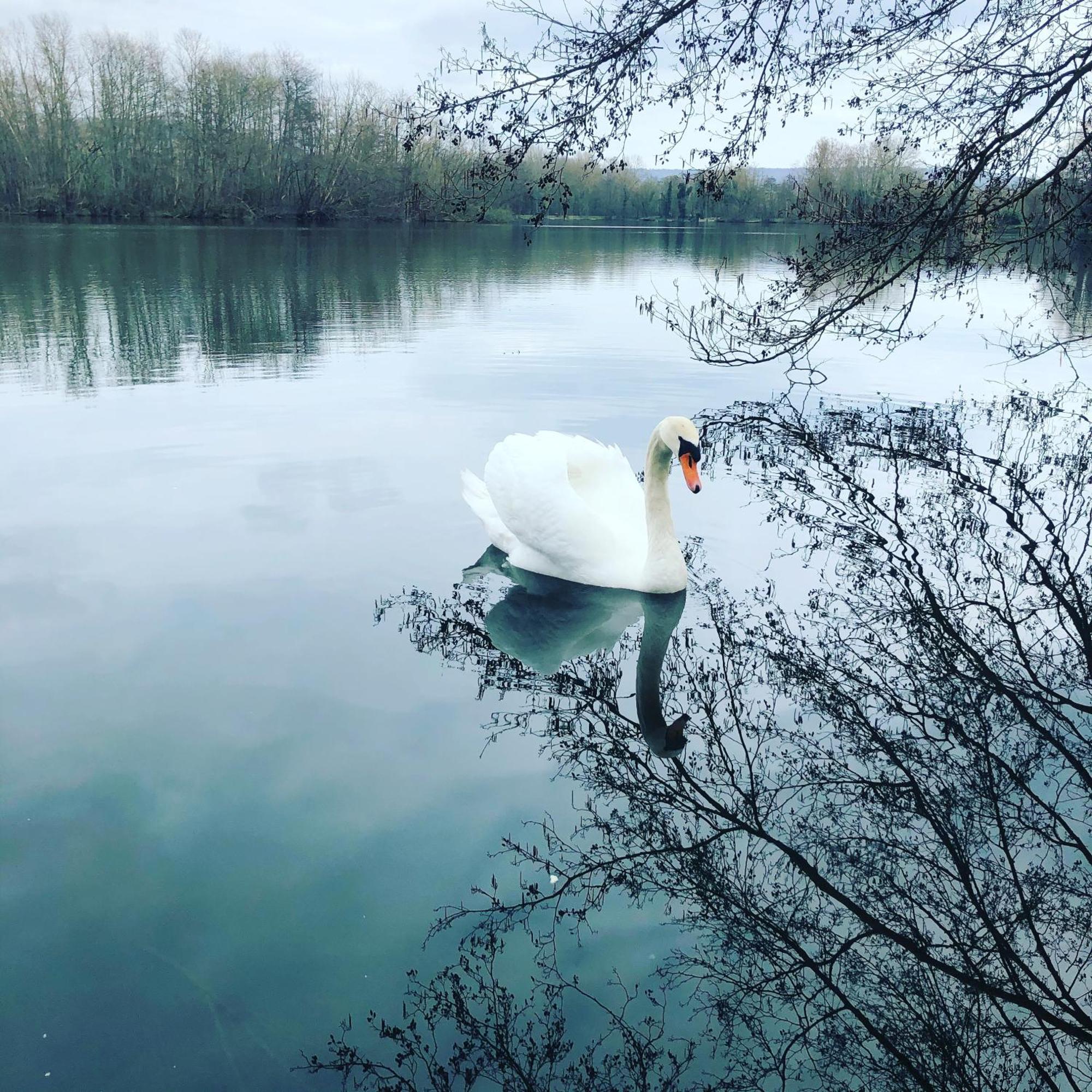 Gite De La Cote A Autreville Sur Moselle Kültér fotó